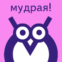 Мудрая